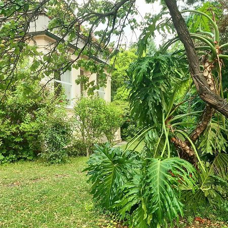 Pension Villa Inge بادن المظهر الخارجي الصورة