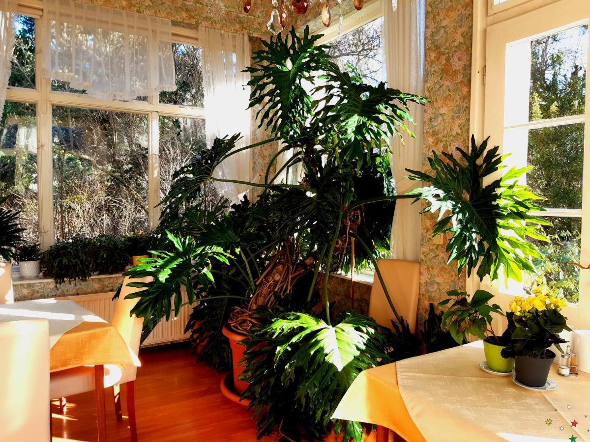 Pension Villa Inge بادن المظهر الخارجي الصورة